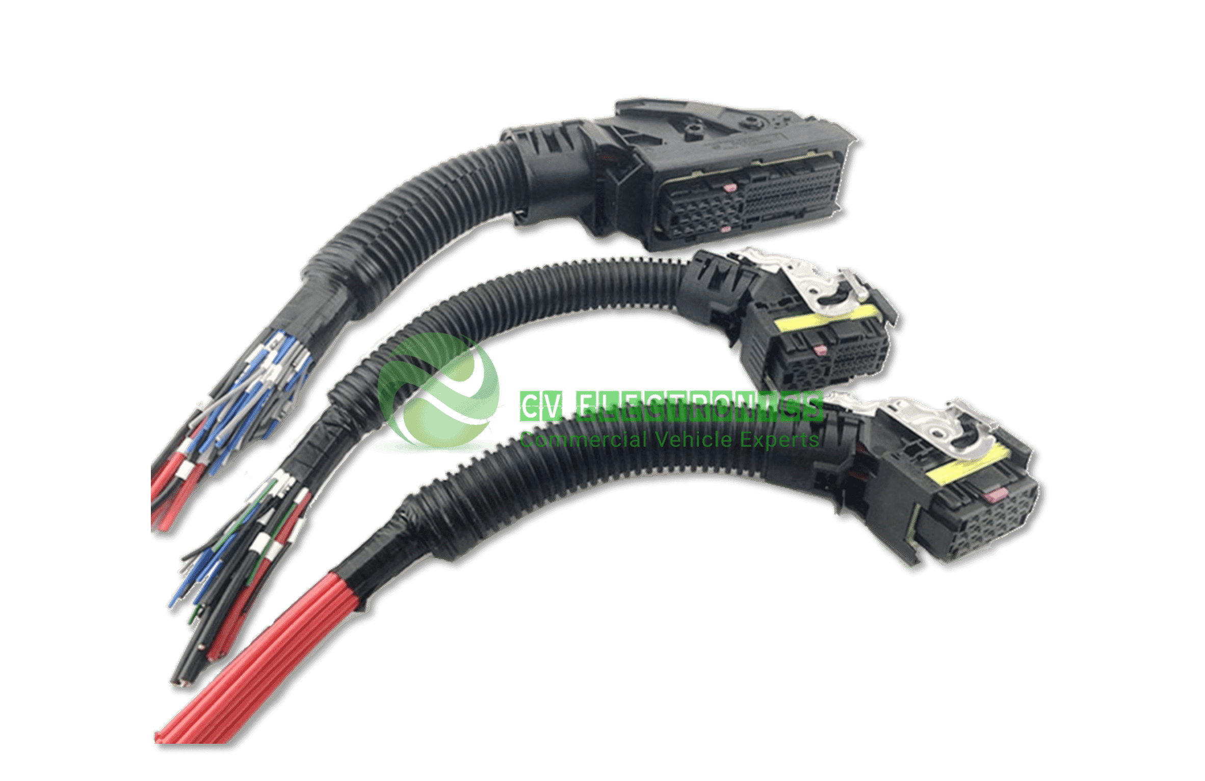 cropped EDC7.H NB SH WM 3